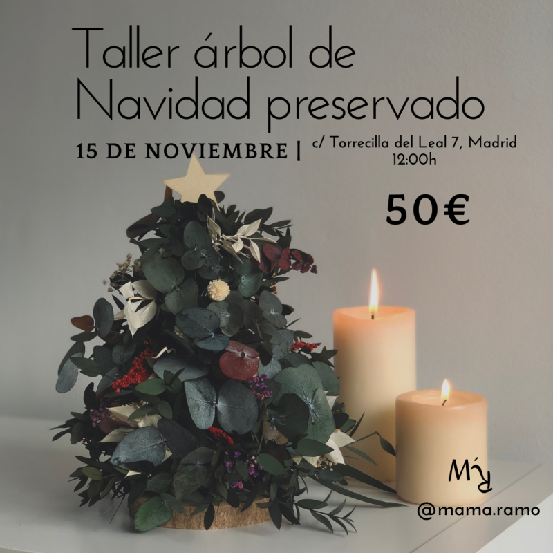 TALLER ÁRBOL DE NAVIDAD - 15 DE NOVIEMBRE