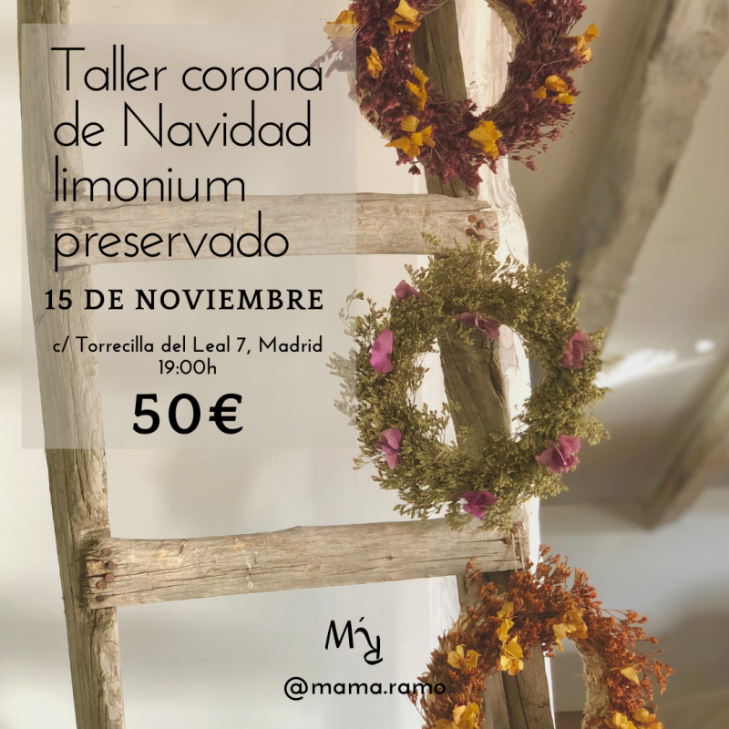 TALLER CORONA NAVIDAD PRESERVADA- 15 DE NOVIEMBRE