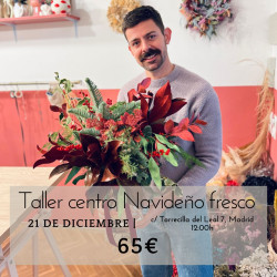 TALLER DE CENTRO NAVIDEÑO -...