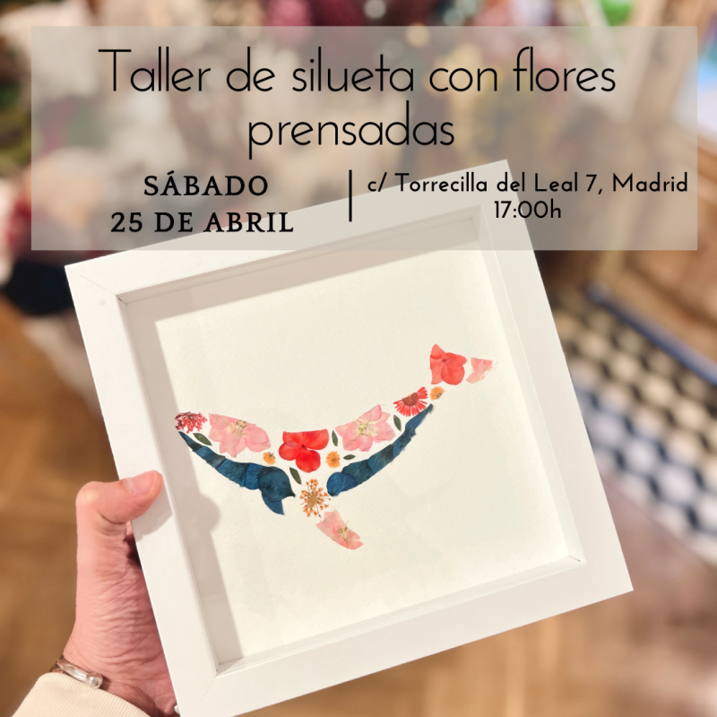 TALLER DE SILUETA CON FLORES PRESERVADAS
